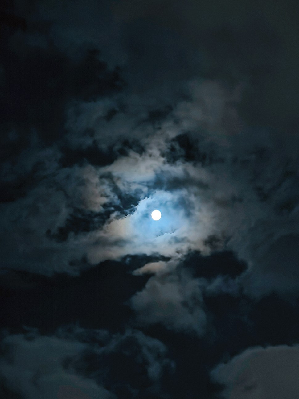 月光.jpg
