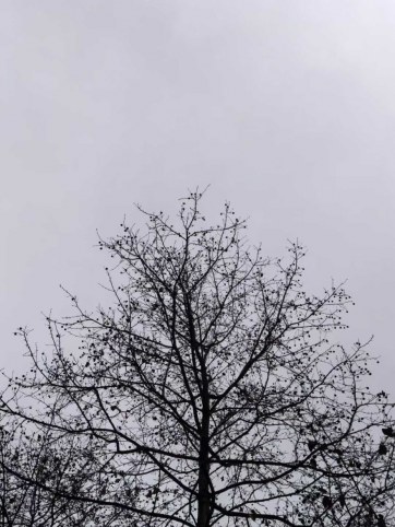 在灰调中发现独属于内在的丰盈