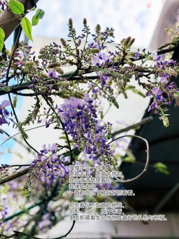 惜物爱物，不恋物