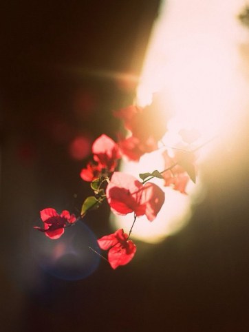 不主动破坏：“山头”的智慧