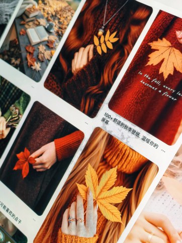 内在的节气：用爱，为日子注入温度