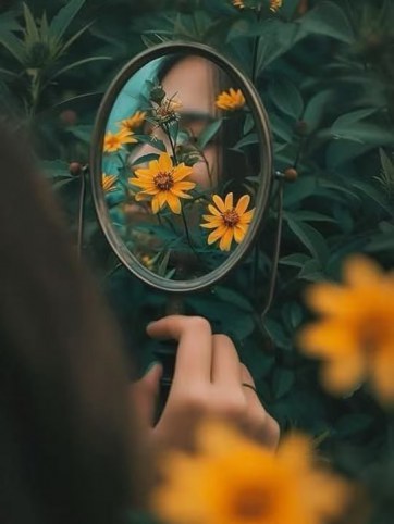 冬日花园里的自然课 附：11个守护能量的日常练习