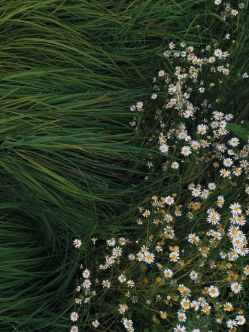 内在的季风：风会流动，心有归处