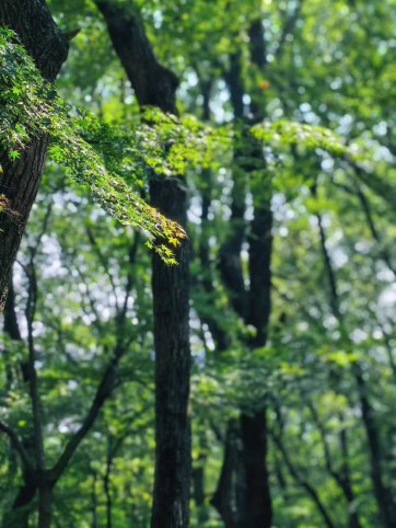 在裂痕中，看见光