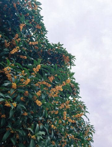 秋天，学会做生命的接收者