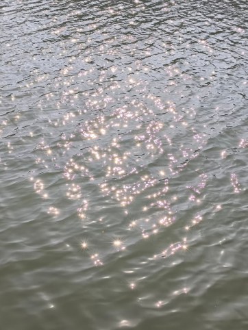 假期，不做能量的“吸血鬼”，让关系回归纯粹