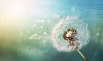 无知使你相信，生命是随意运作的