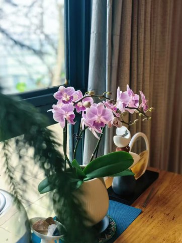 专注你道路上的风景