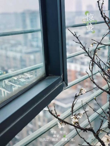 惊蛰，推窗见樱：在万物醒来时，先回到自己