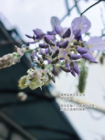 四月，信任直觉，让精神实践日常化