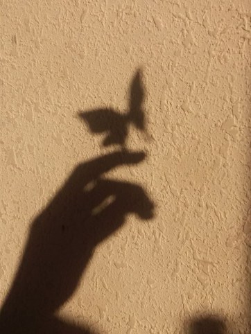 心怀暖阳的人，都曾在漫漫长夜中独行