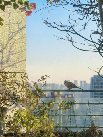 你是万物的伙伴，而不是消费者